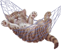 Katze im Hammock